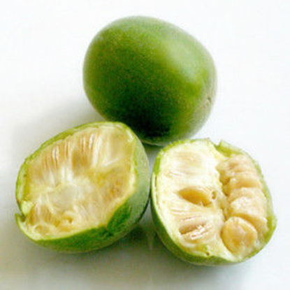 Show details for Monk Fruit Extract，Mogroside V
